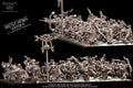 Avatars of War Goblin Archers